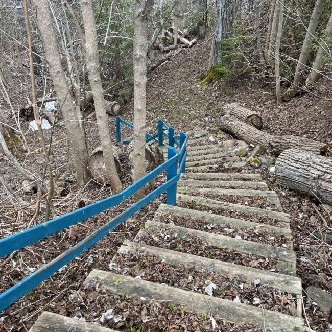 P’tit Bois à Méo