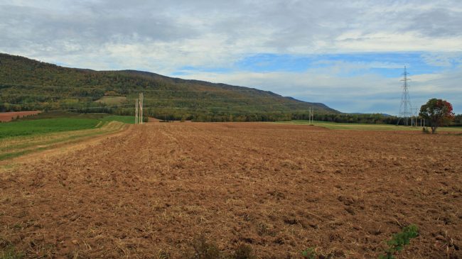 Chemin des Buttereaux