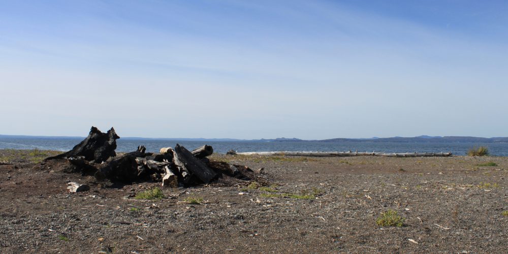 Résidence au Centre d&rsquo;artistes Vaste et Vague