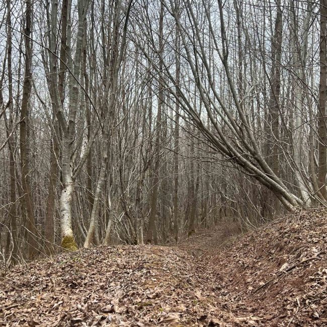 Côte à Adélard (Village)
