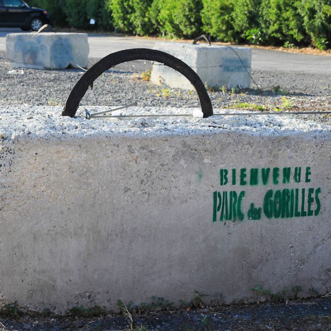 Parc des Gorilles