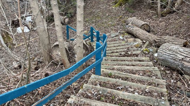 P’tit Bois à Méo