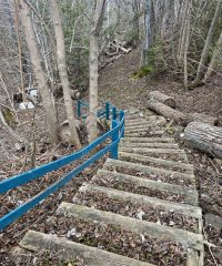 P&rsquo;tit Bois à Méo