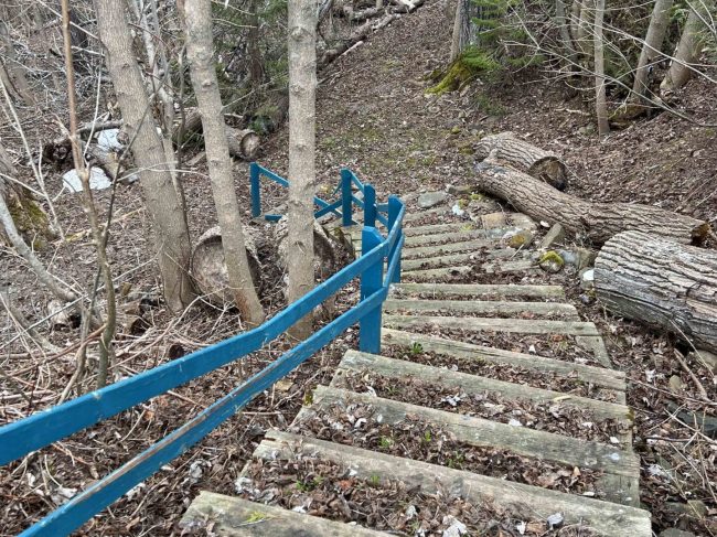 P&rsquo;tit Bois à Méo