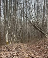 Côte à Adélard (Village)