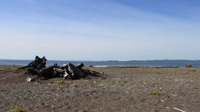 Résidence au Centre d&rsquo;artistes Vaste et Vague