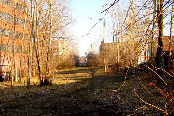 Novembre 2012, avant que le terrain soit rasé, gracieuseté de Frances Foster. 