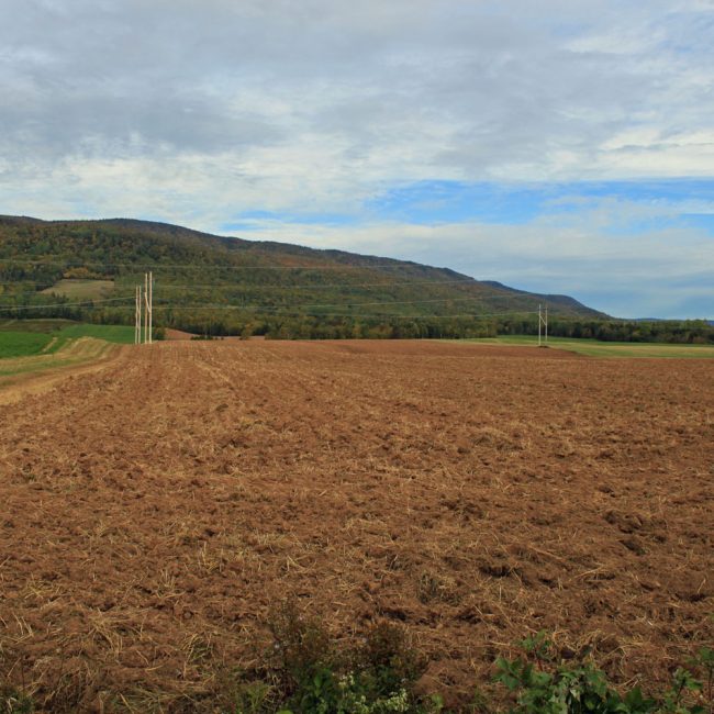 Chemin des Buttereaux