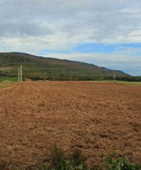 Chemin des Buttereaux