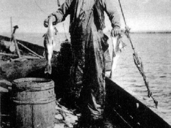 Fond à morue du Bonhomme-Dick