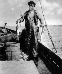 Fond à morue du Bonhomme-Dick