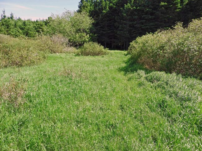 Lac à Pot d’Chambre