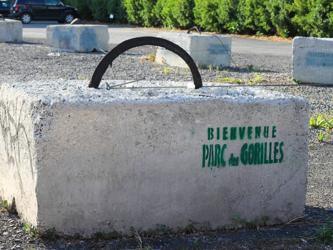 Parc des Gorilles