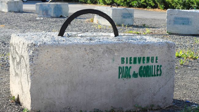 Parc des Gorilles