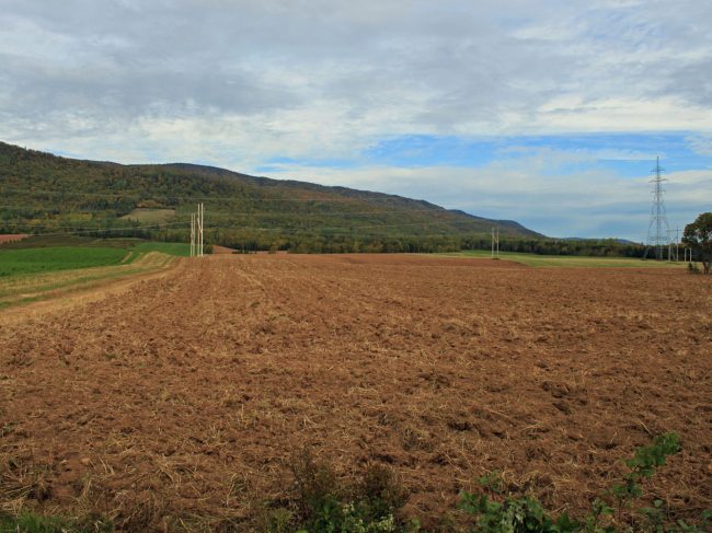 Chemin des Buttereaux