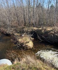 Protégé : Ruisseau à Creton
