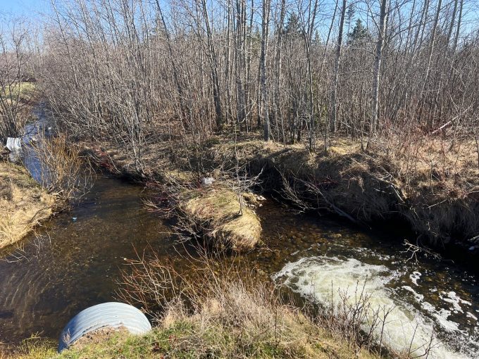 Ruisseau à Creton