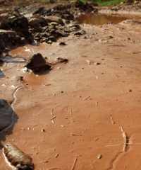 La Mine-à-Peinture-de-Titi-Henry
