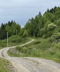 Côte à Hector (or à Jos) [English]