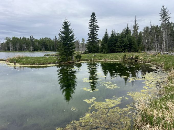 Lac à Menouche [English]