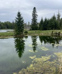 Lac à Menouche [English]