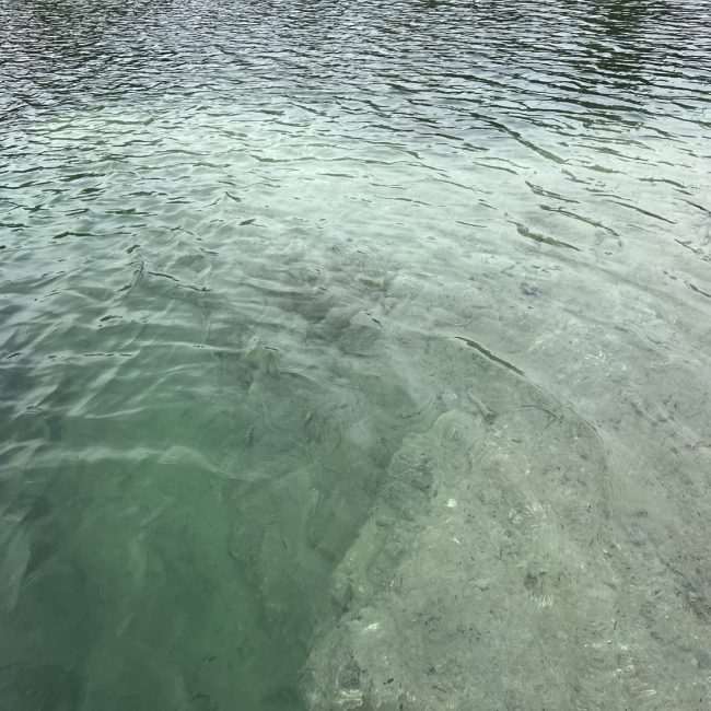 Lac à Vase